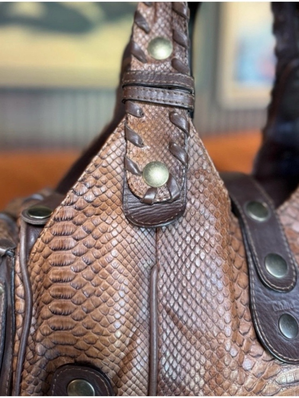 Chloe Python Handbag - Picture 3 of 10